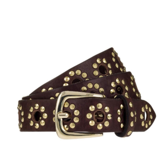 BBelt Diana - Gold Dark Brown  BBelt Pisces Boutique